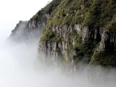 太空实验搞怪